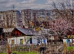Деревня-город: как не причинить добро местным жителям, сделать дом культуры точкой притяжения и начать запуск экономических проектов Деревня-город: как не причинить добро местным жителям, сделать дом культуры точкой притяжения и начать запуск экономических проектов