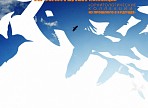 Сотрудница краеведческого музея приняла участие в IX Международной конференции хранителей орнитологических коллекций