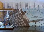 В Ульяновске откроется выставка из Государственного Дарвиновского музея «Птицы. Технология совершенства»