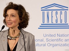 Ульяновская область продолжает выстраивать сотрудничество с ЮНЕСКО