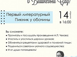 В Ульяновске пройдёт первый литературный пикник у обочины