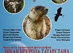 Окунитесь в прекрасный мир дикой природы Татарстана!